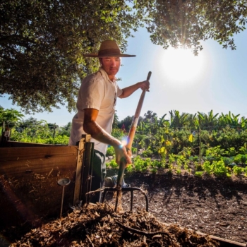 Compost &amp; Garden Support