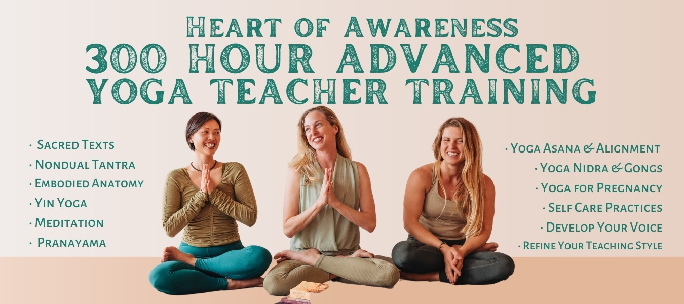 20hr Intensive Chair Yoga Teacher Training- Certified